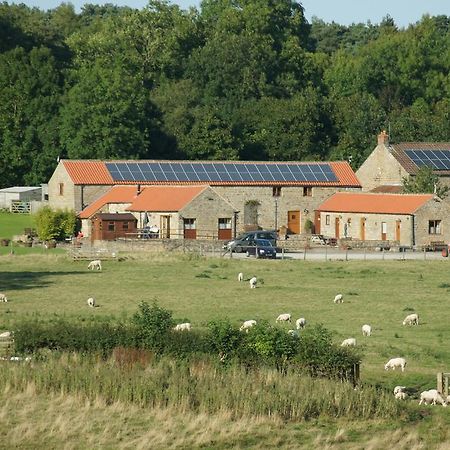 Willa Rawcliffe House Farm Pickering Zewnętrze zdjęcie