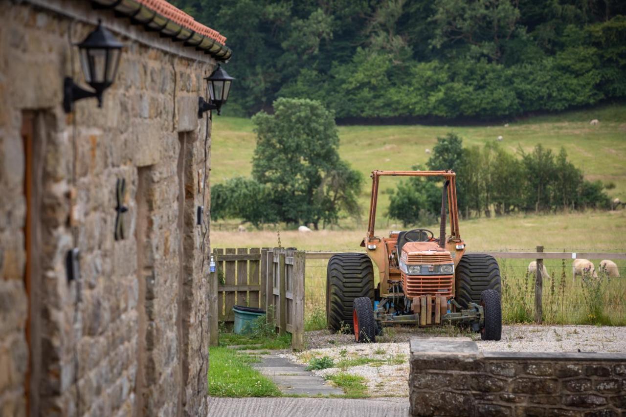 Willa Rawcliffe House Farm Pickering Zewnętrze zdjęcie