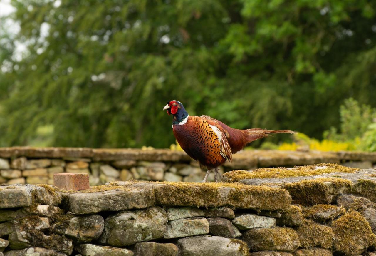 Willa Rawcliffe House Farm Pickering Zewnętrze zdjęcie