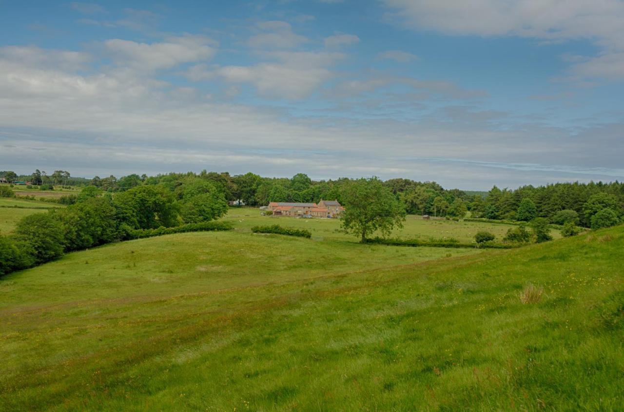 Willa Rawcliffe House Farm Pickering Zewnętrze zdjęcie