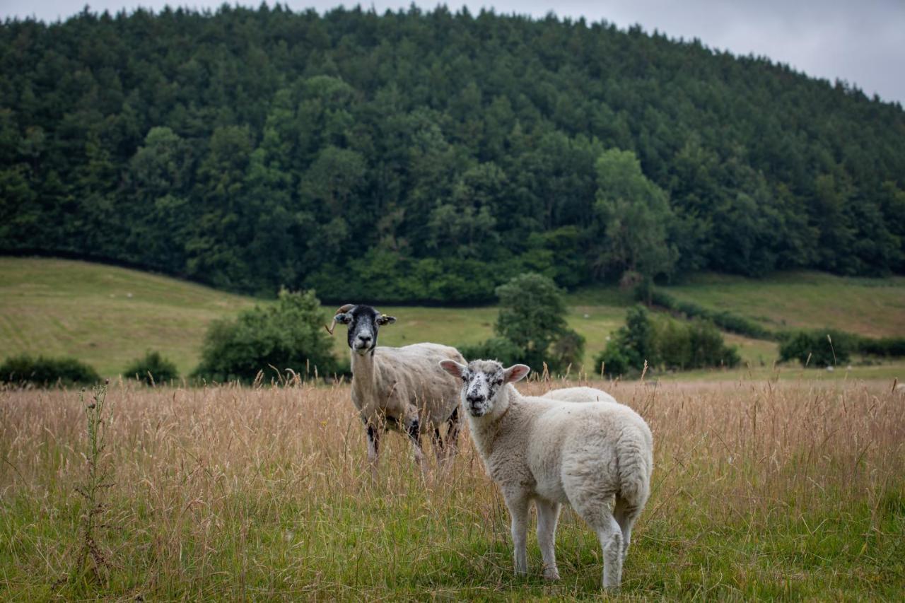 Willa Rawcliffe House Farm Pickering Zewnętrze zdjęcie