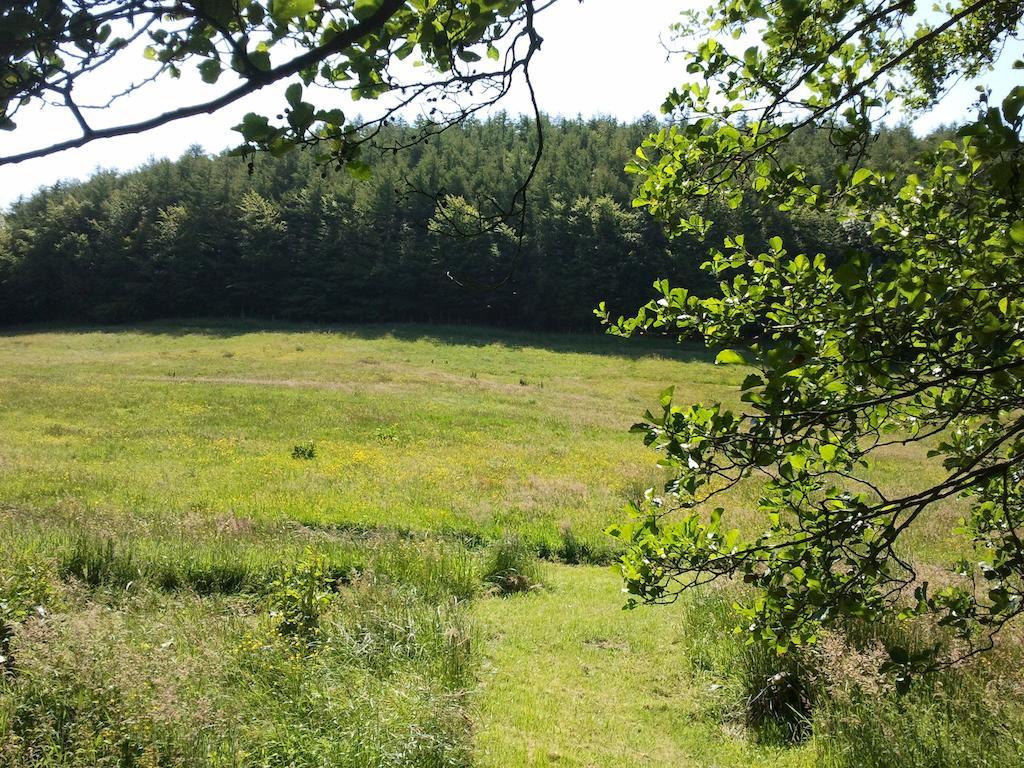 Willa Rawcliffe House Farm Pickering Zewnętrze zdjęcie