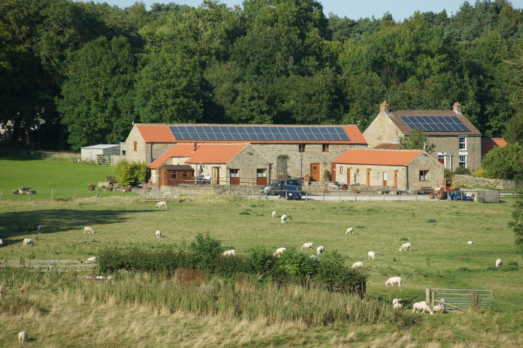 Willa Rawcliffe House Farm Pickering Zewnętrze zdjęcie