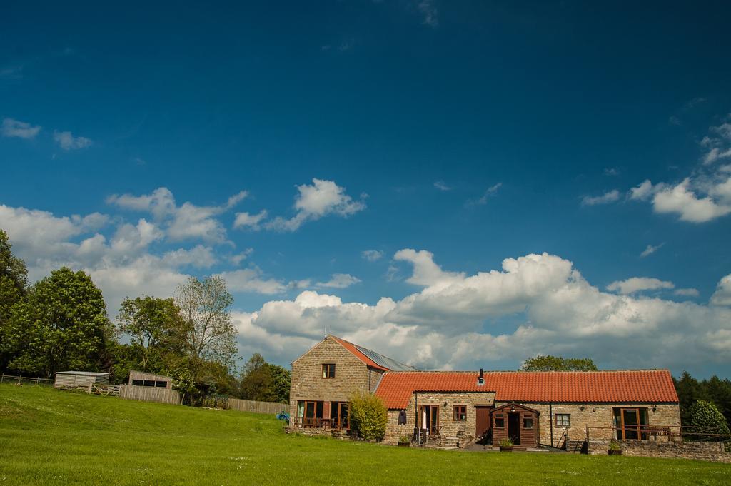 Willa Rawcliffe House Farm Pickering Zewnętrze zdjęcie